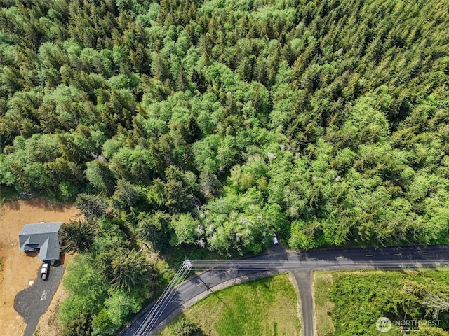 1420 S Bend Rd, Raymond, WA 98577