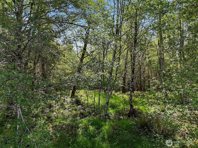 1420 S Bend Rd, Raymond, WA 98577