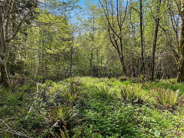 1420 S Bend Rd, Raymond, WA 98577