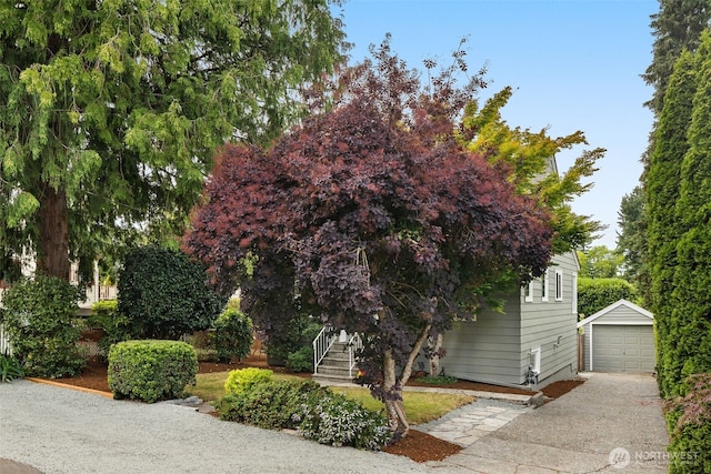1230 NE 100th St, Seattle, WA 98125 - view of property hidden behind natural elements with concrete driveway, an outdoor structure, and a garage
