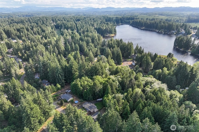 121 E Willapa Rd, Shelton, WA 98584 - aerial view of property's location featuring a heavily wooded area and a water and mountain view