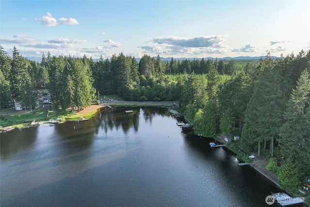 121 E Willapa Rd, Shelton, WA 98584 - water view featuring a heavily wooded area