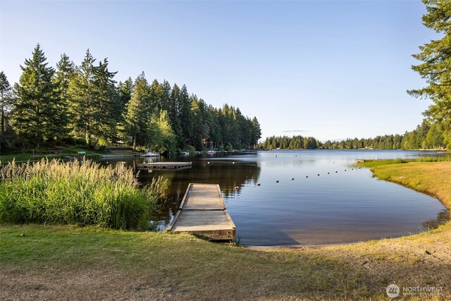 121 E Willapa Rd, Shelton, WA 98584 - dock with a water view and a wooded view