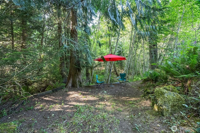 121 E Willapa Rd, Shelton, WA 98584 - view of jungle gym featuring a view of trees
