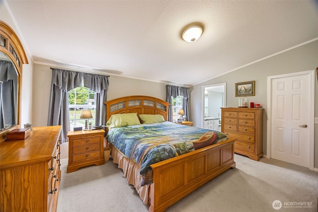 121 E Willapa Rd, Shelton, WA 98584 - bedroom with light carpet, lofted ceiling, ensuite bathroom, and crown molding