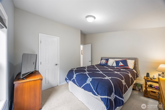 121 E Willapa Rd, Shelton, WA 98584 - bedroom featuring carpet floors
