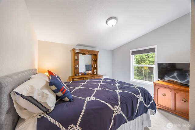 121 E Willapa Rd, Shelton, WA 98584 - bedroom with vaulted ceiling and light carpet