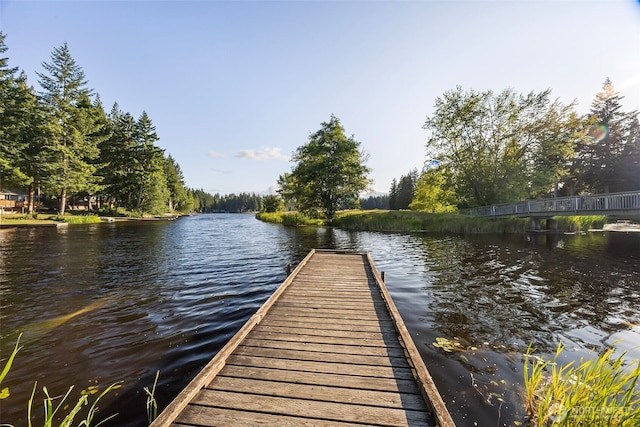 121 E Willapa Rd, Shelton, WA 98584 - dock area with a water view