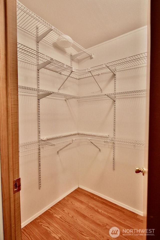 140 Fleming Dr, Sequim, WA 98382 - walk in closet featuring light wood-style flooring