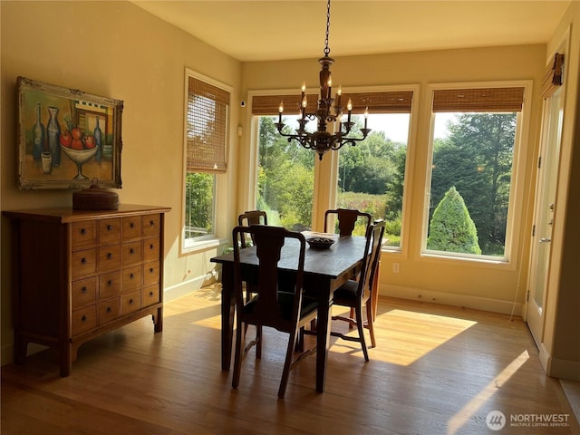 3631 148th St SE, Mill Creek, WA 98012 - photo 15