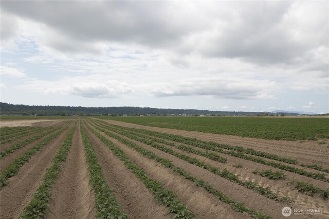 0 Downey Rd, Mount Vernon, WA 98273 - photo 8