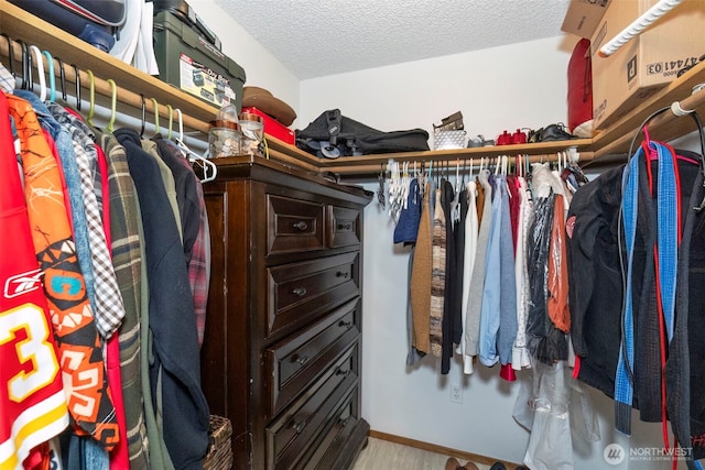 3400 Narrows View Ln NE Unit 204, Bremerton, WA 98310 - walk in closet with wood finished floors