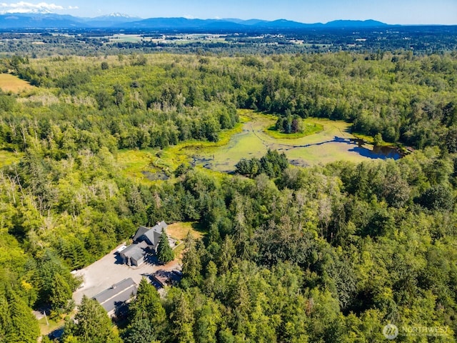 9474 Freedom Pl, Blaine, WA 98230 - photo 37