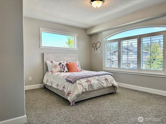 885 N Squire Dr, Ridgefield, WA 98642 - bedroom featuring multiple windows, a textured ceiling, and carpet