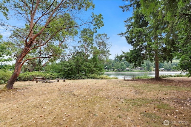 213 Eakin Dr NW, Bainbridge Island, WA 98110 - photo 34