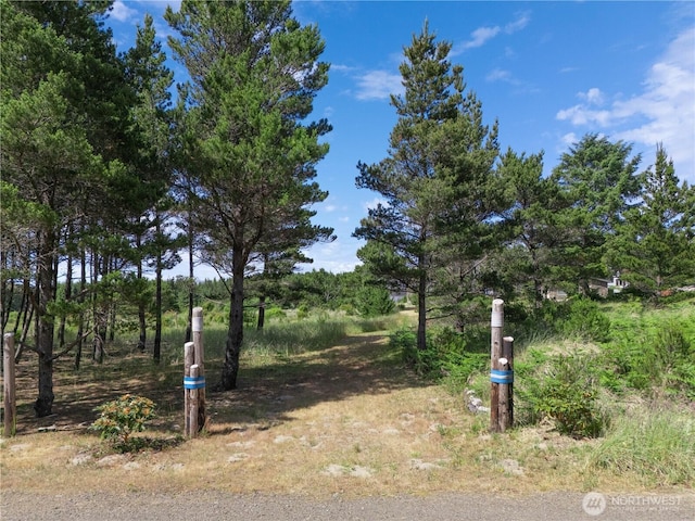012XX 163rd Pl, Long Beach, WA 98631 - photo 2