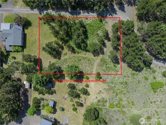 012XX 163rd Pl, Long Beach, WA 98631 - photo 6