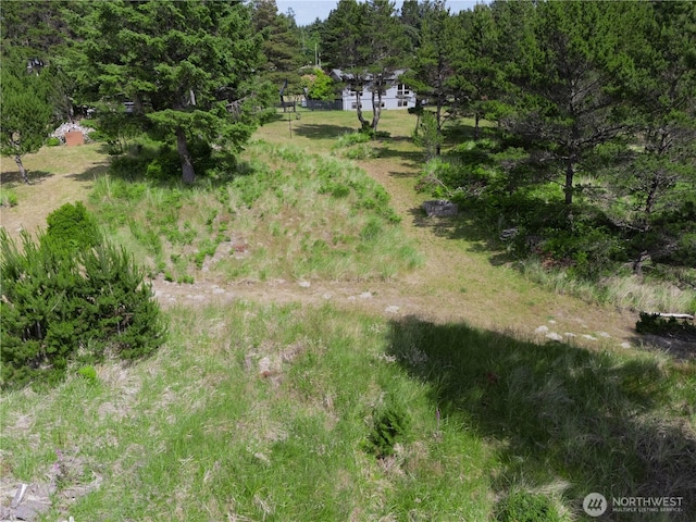 012XX 163rd Pl, Long Beach, WA 98631 - photo 10