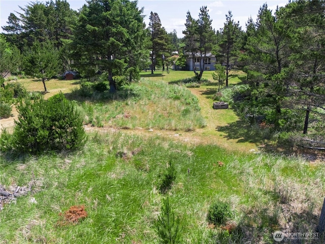 012XX 163rd Pl, Long Beach, WA 98631 - photo 11