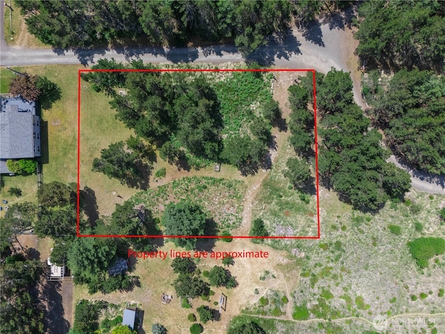 012XX 163rd Pl, Long Beach, WA 98631 - photo 12