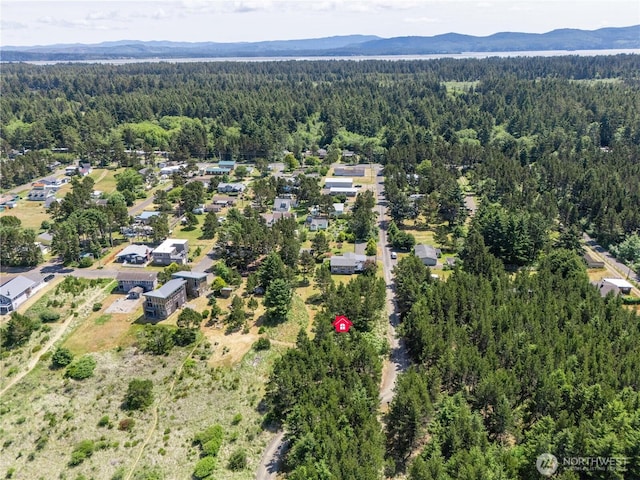 012XX 163rd Pl, Long Beach, WA 98631 - photo 15