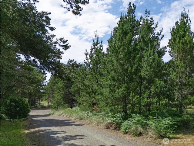 012XX 163rd Pl, Long Beach, WA 98631 - photo 17