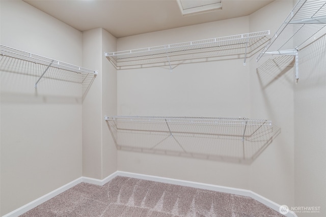 7336 Ashdown Ln SE, Olympia, WA 98513 - spacious closet featuring carpet floors