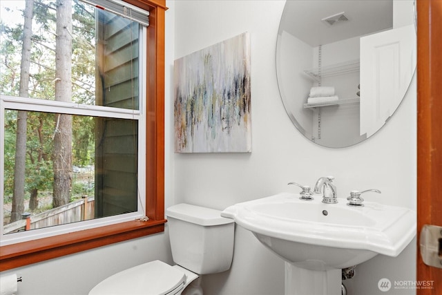 12356 Hiram Pl NE, Seattle, WA 98125 - photo 18