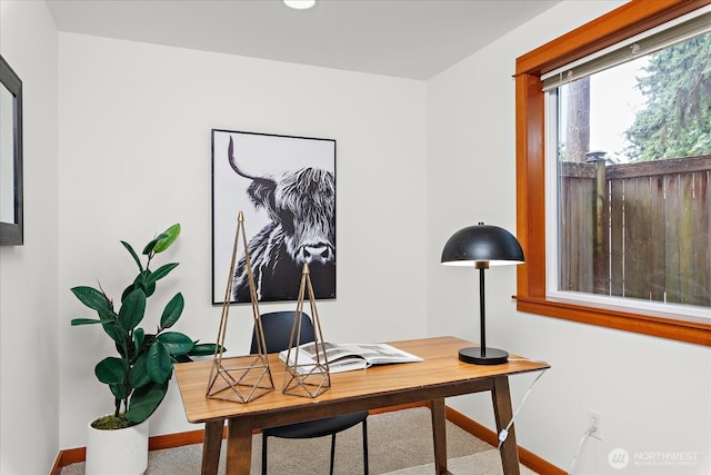 12356 Hiram Pl NE, Seattle, WA 98125 - photo 28
