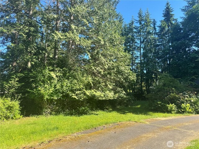 365 Snohomish Dr, La Conner, WA 98257 - photo 3