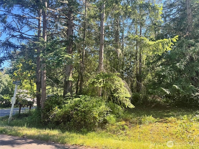 365 Snohomish Dr, La Conner, WA 98257 - photo 5