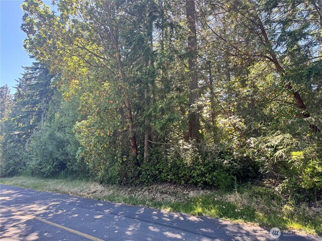 365 Snohomish Dr, La Conner, WA 98257 - photo 6