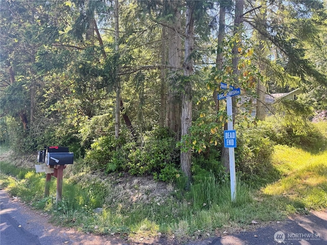 365 Snohomish Dr, La Conner, WA 98257 - photo 8