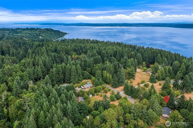 18304 Mclean Rd SW, Vashon, WA 98070 - drone / aerial view of a forest and a large body of water