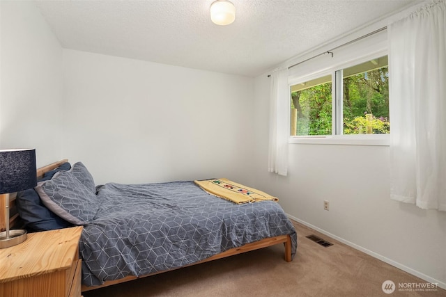 18304 Mclean Rd SW, Vashon, WA 98070 - carpeted bedroom with baseboards and a textured ceiling