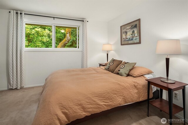 18304 Mclean Rd SW, Vashon, WA 98070 - bedroom featuring carpet floors and baseboards