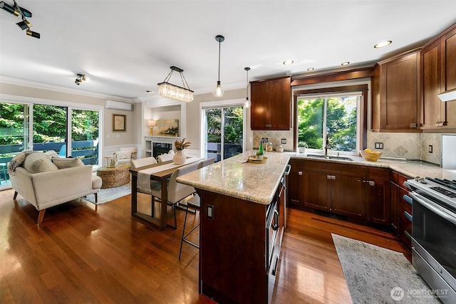 4314 Linden Ave N, Seattle, WA 98103 - kitchen featuring stainless steel range oven, open floor plan, ornamental molding, dark wood-type flooring, and light stone counters