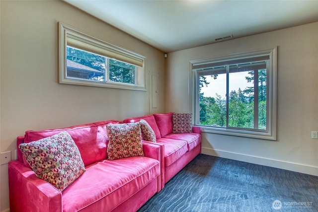 211 Geer Ln, Orcas Island, WA 98245 - living room with baseboards and dark colored carpet