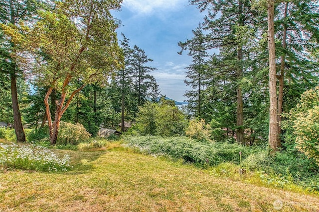 211 Geer Ln, Orcas Island, WA 98245 - view of wooded area