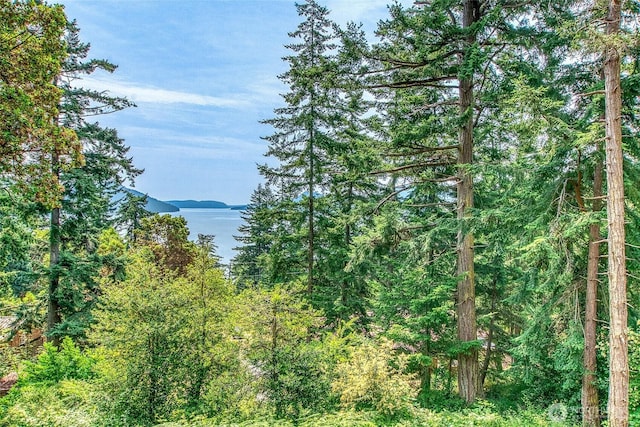 211 Geer Ln, Orcas Island, WA 98245 - water view featuring a heavily wooded area