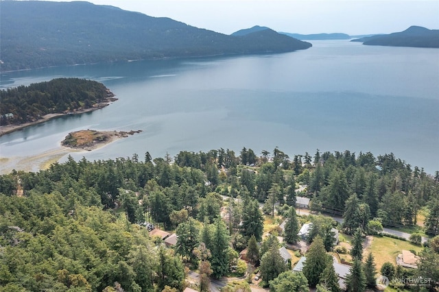 211 Geer Ln, Orcas Island, WA 98245 - drone / aerial view of a water and mountain view
