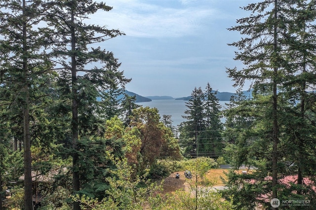 211 Geer Ln, Orcas Island, WA 98245 - view of mountain background featuring a heavily wooded area