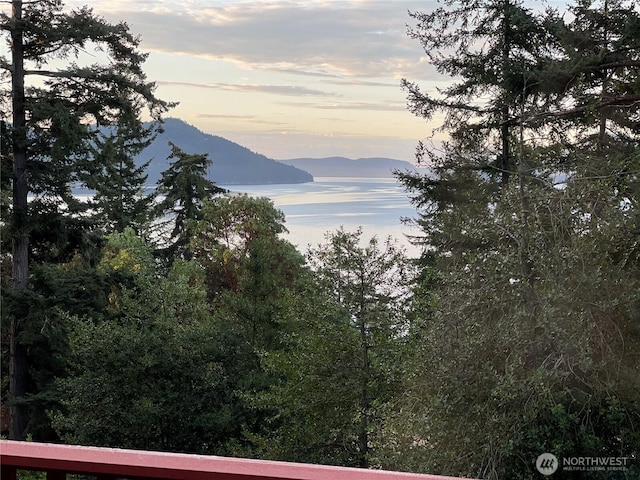 211 Geer Ln, Orcas Island, WA 98245 - photo 40