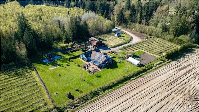 3151 Velvet Ln, Custer, WA 98240 - aerial view of sparsely populated area