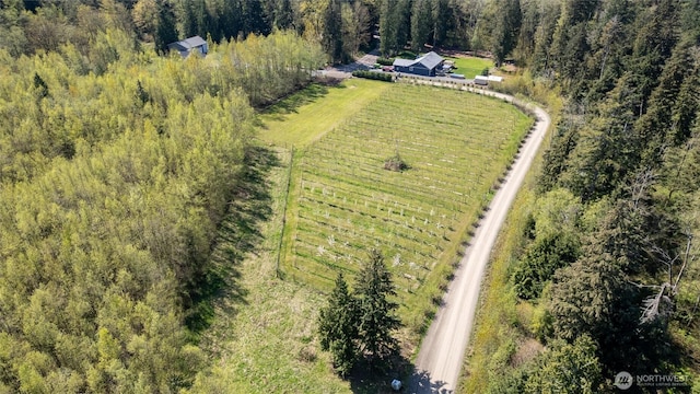 3151 Velvet Ln, Custer, WA 98240 - overview of rural landscape