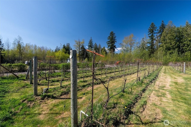 3151 Velvet Ln, Custer, WA 98240 - view of yard featuring a rural view