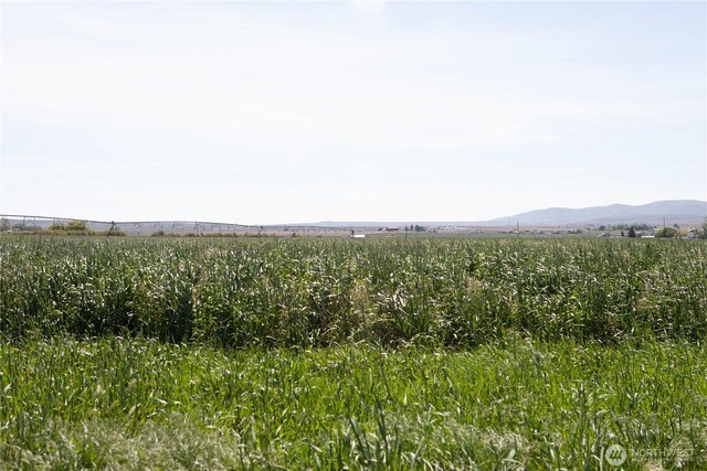 15450 Vantage Hwy, Ellensburg, WA 98926 - photo 3