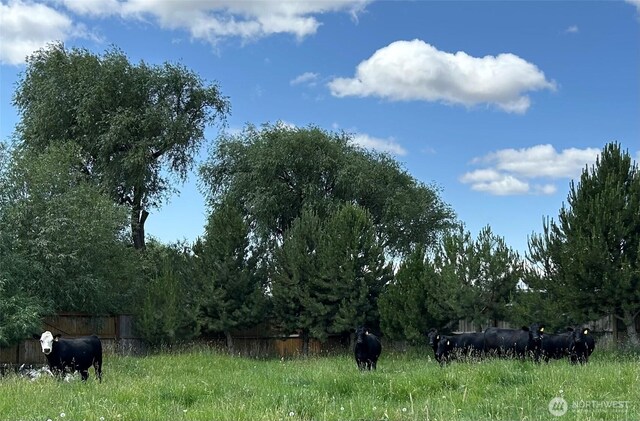 15450 Vantage Hwy, Ellensburg, WA 98926 - photo 8