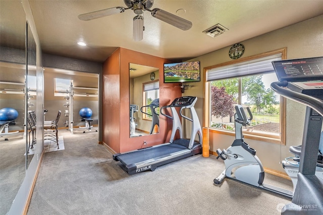 78718 Echols Rd, Hermiston, OR 97838 - workout room with ceiling fan and carpet flooring