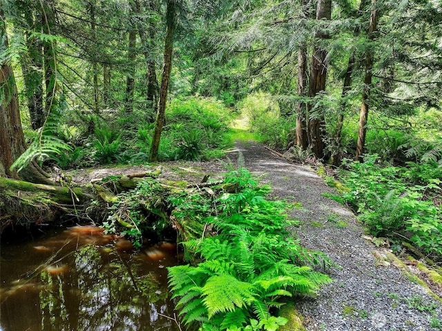 19322 Old Burn Rd, Arlington, WA 98223 - view of wooded area